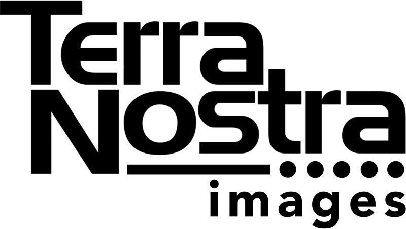 Terra Nostra Studios